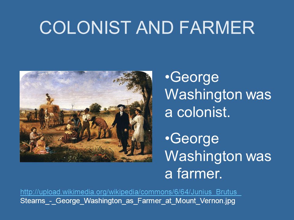 COLONIST AND FARMER George Washington was a colonist.