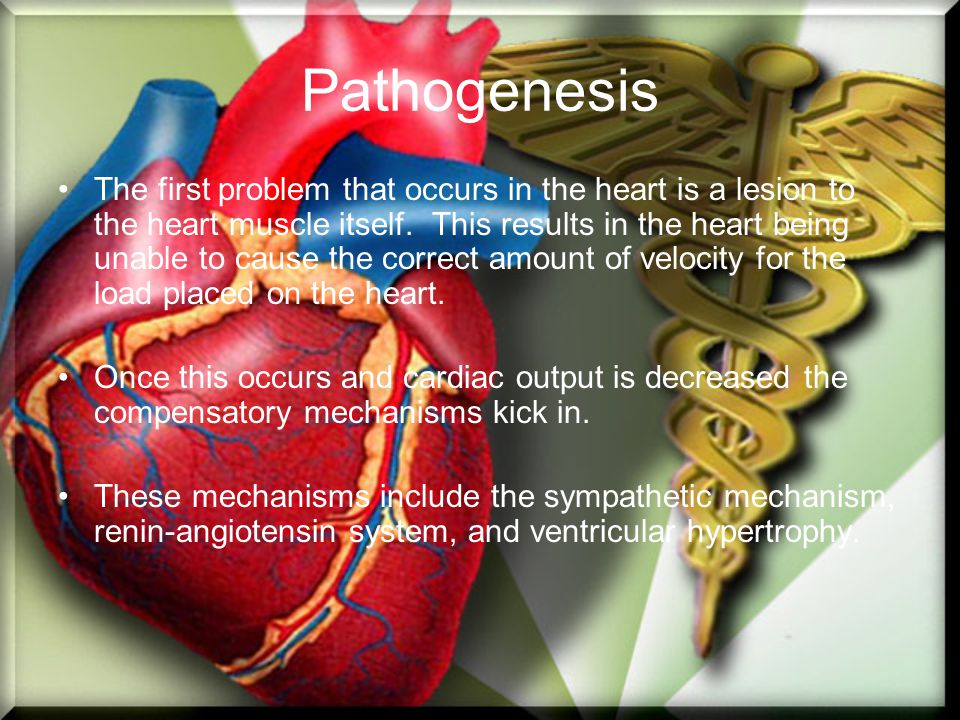 Pathogenesis The first problem that occurs in the heart is a lesion to the heart muscle itself.