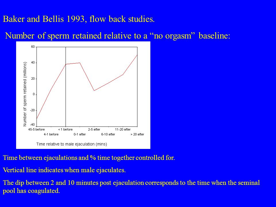 Know Baker bellis sperm competition what Baker bellis sperm competition opinion