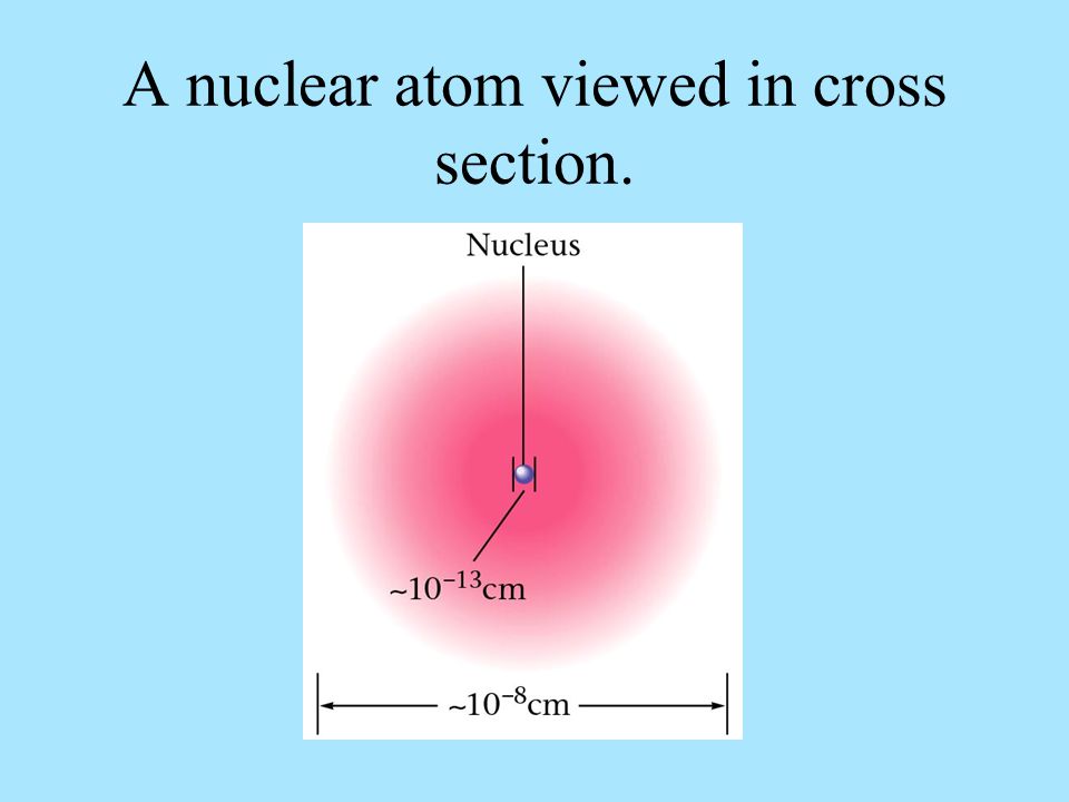 A nuclear atom viewed in cross section.