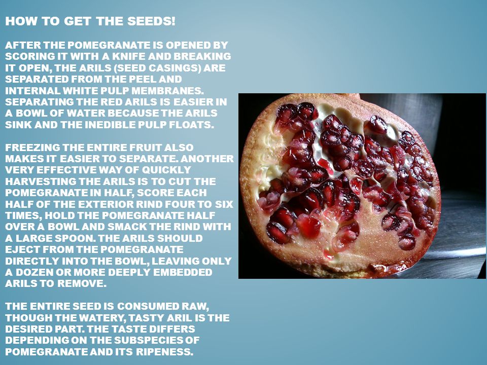 HOW TO GET THE SEEDS.