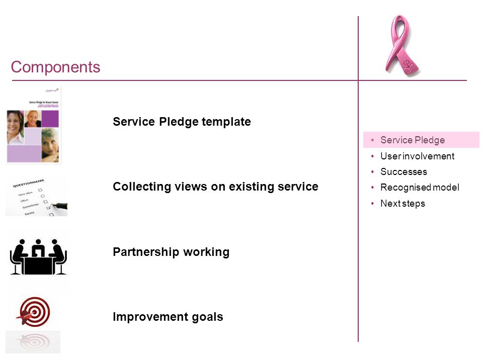 service pledge user involvement successes recognised model customer service pledge template