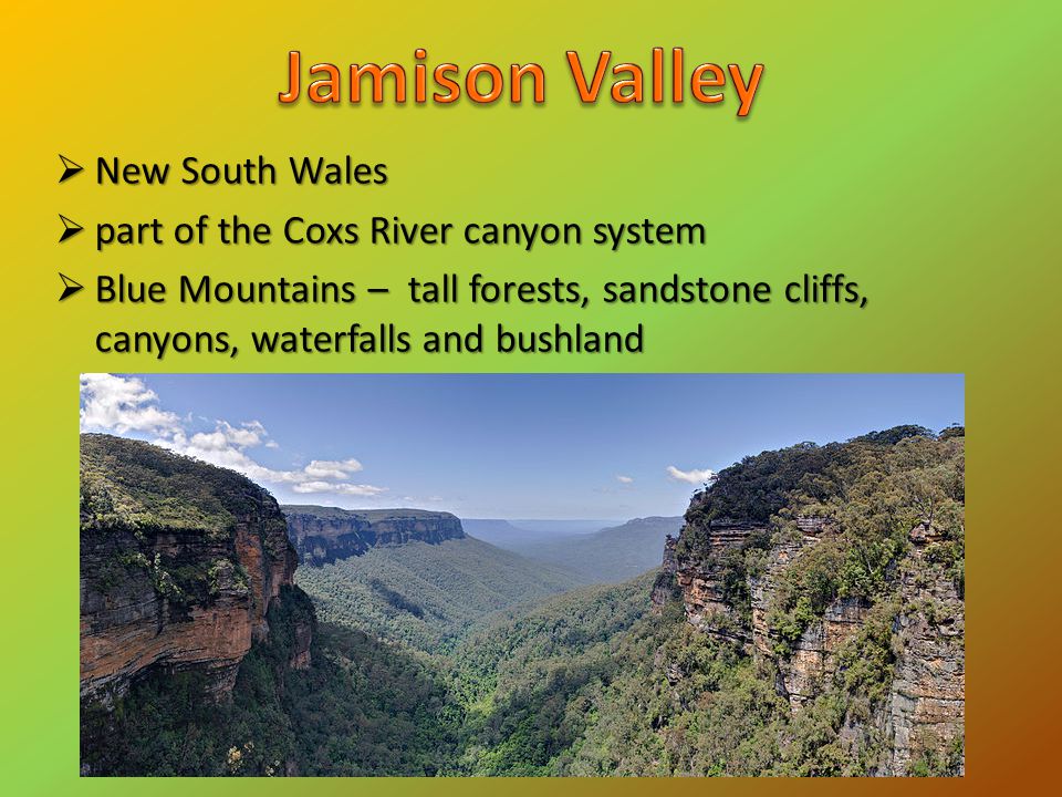  New South Wales  part of the Coxs River canyon system  Blue Mountains – tall forests, sandstone cliffs, canyons, waterfalls and bushland