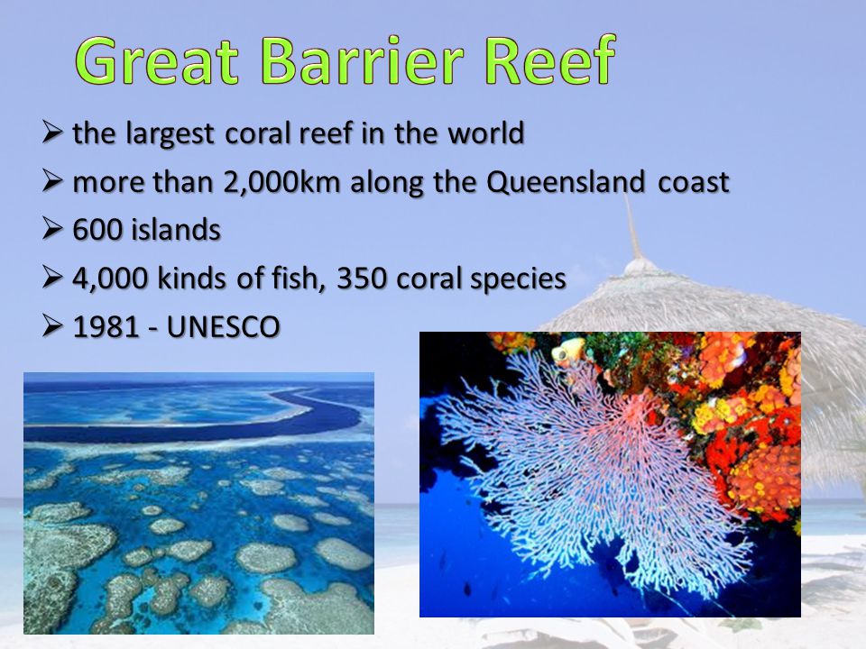 the largest coral reef in the world  more than 2,000km along the Queensland coast  600 islands  4,000 kinds of fish, 350 coral species  UNESCO