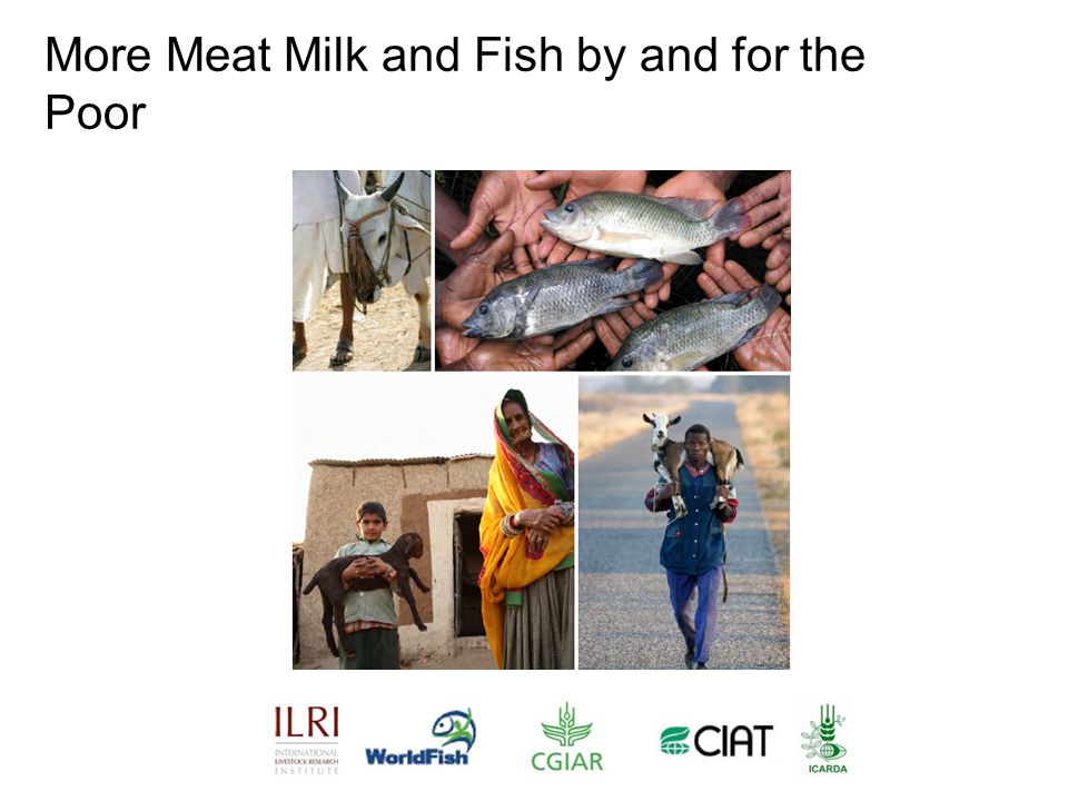 More Meat Milk and Fish by and for the Poor