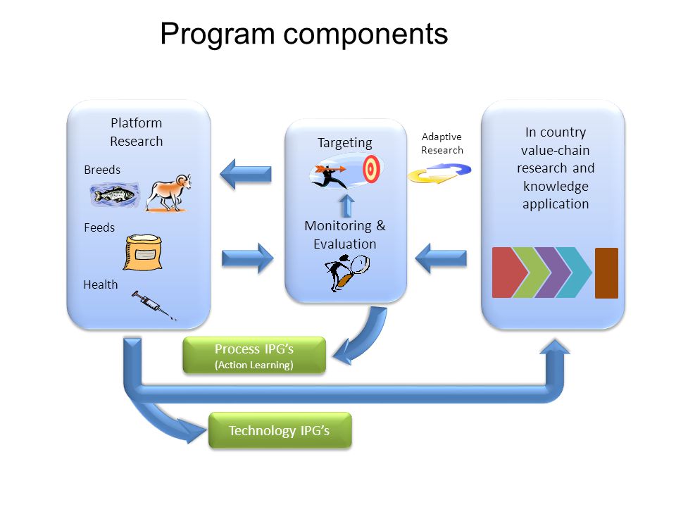Program components In country value-chain research and knowledge application Platform Research Breeds Feeds Health Targeting Monitoring & Evaluation Technology IPG’s Process IPG’s (Action Learning) Process IPG’s (Action Learning) Adaptive Research