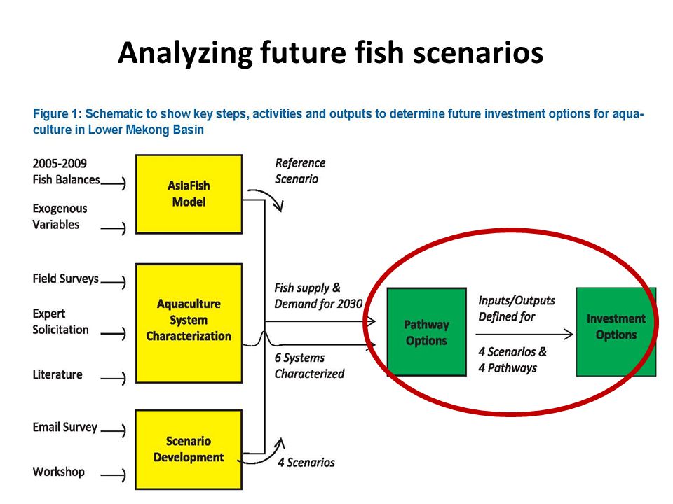 Analyzing future fish scenarios