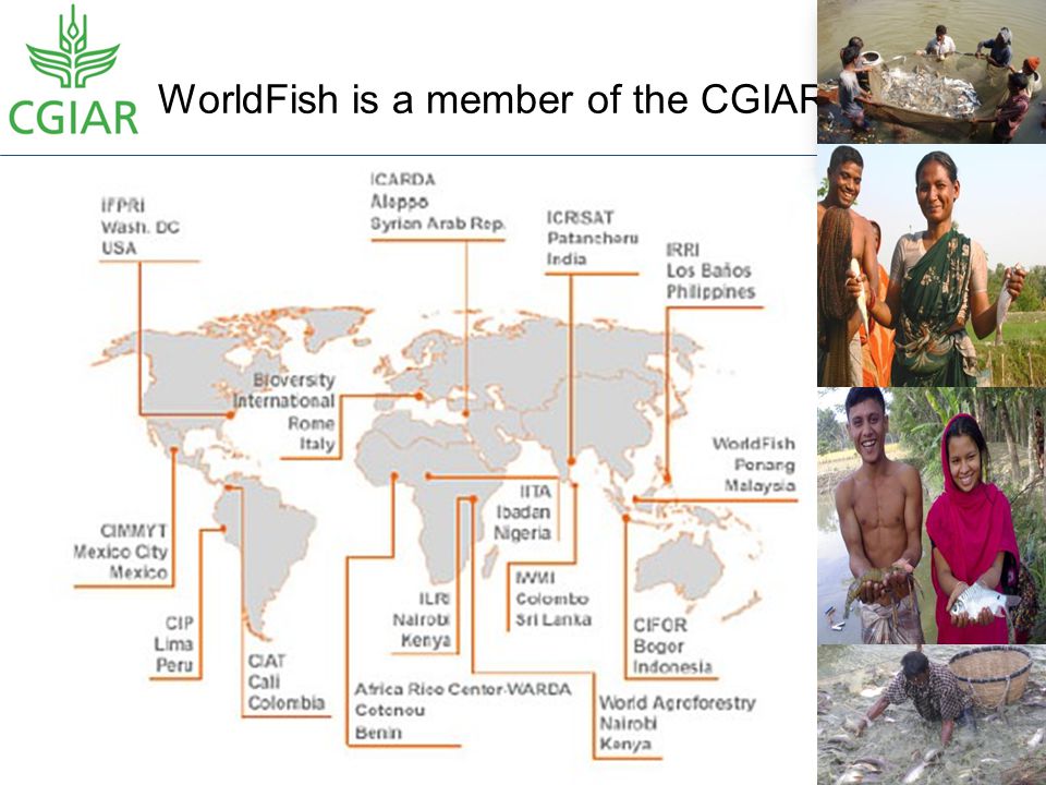 WorldFish is a member of the CGIAR