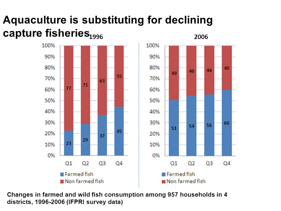 Aquaculture is substituting for declining capture fisheries Changes in farmed and wild fish consumption among 957 households in 4 districts, (IFPRI survey data)