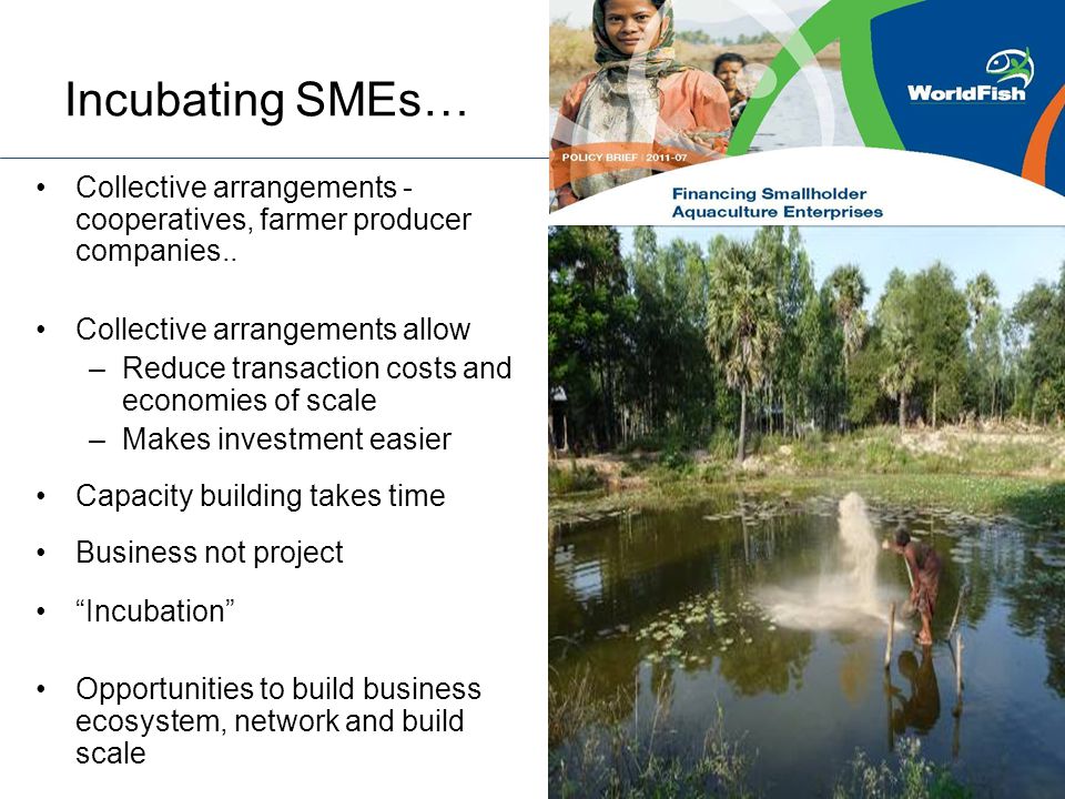 Incubating SMEs… Collective arrangements - cooperatives, farmer producer companies..