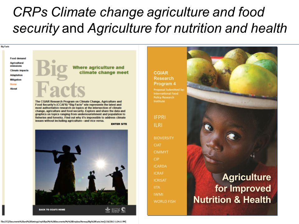 CRPs Climate change agriculture and food security and Agriculture for nutrition and health