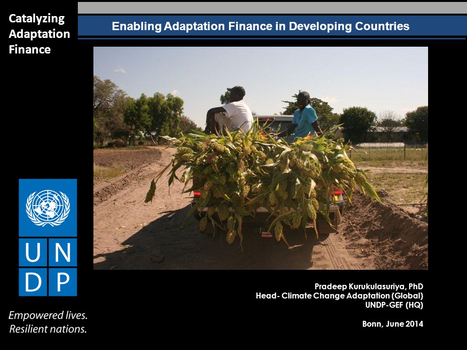 Enabling Adaptation Finance in Developing Countries Catalyzing Adaptation Finance Pradeep Kurukulasuriya, PhD Head- Climate Change Adaptation (Global) UNDP-GEF (HQ) Bonn, June 2014