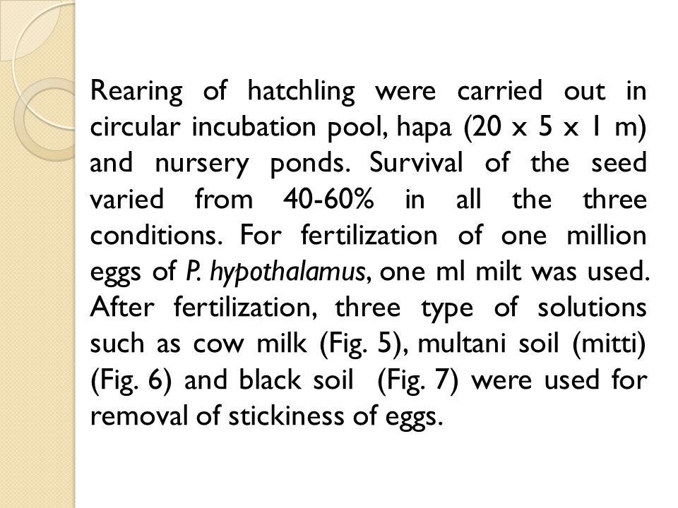 Rearing of hatchling were carried out in circular incubation pool, hapa (20 x 5 x 1 m) and nursery ponds.