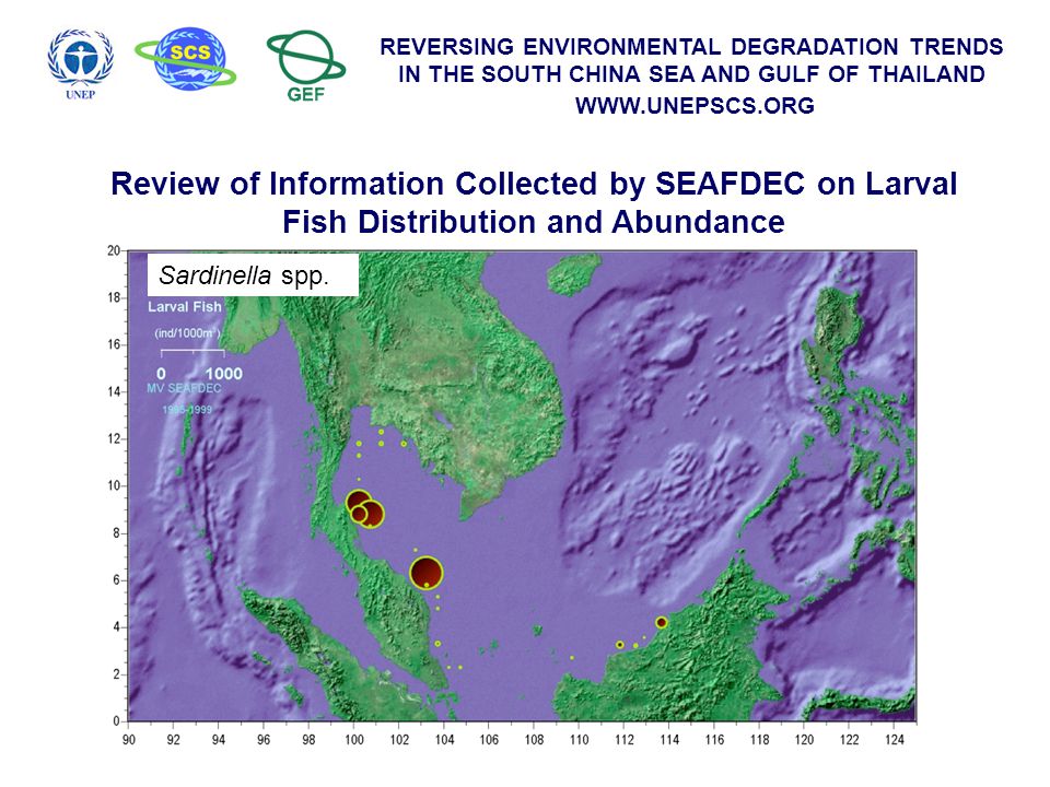 REVERSING ENVIRONMENTAL DEGRADATION TRENDS IN THE SOUTH CHINA SEA AND GULF OF THAILAND   Review of Information Collected by SEAFDEC on Larval Fish Distribution and Abundance Sardinella spp.
