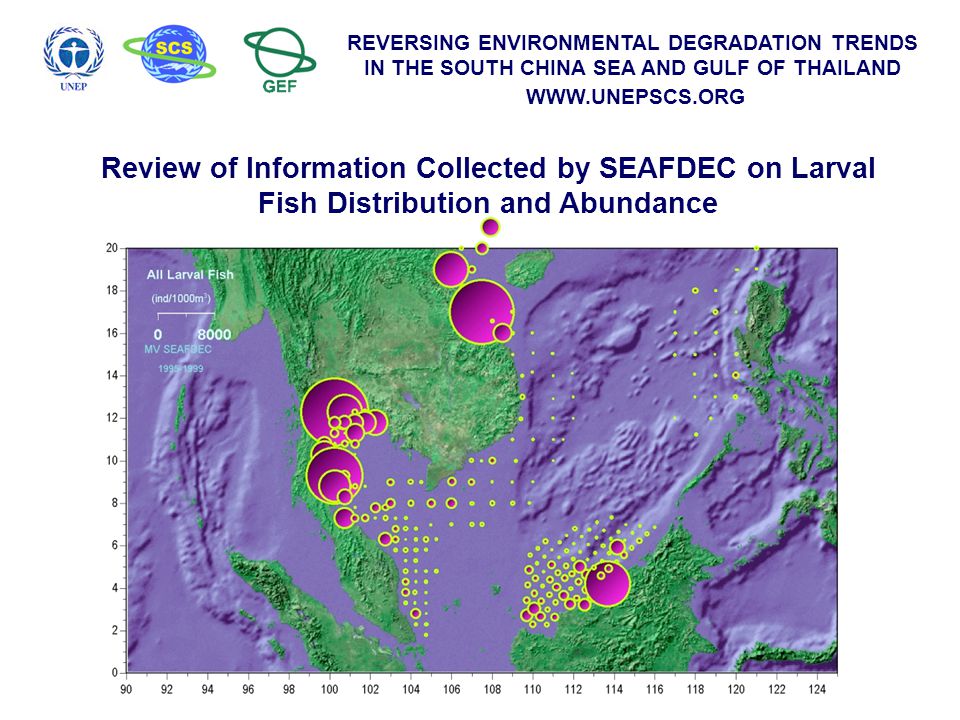 REVERSING ENVIRONMENTAL DEGRADATION TRENDS IN THE SOUTH CHINA SEA AND GULF OF THAILAND   Review of Information Collected by SEAFDEC on Larval Fish Distribution and Abundance
