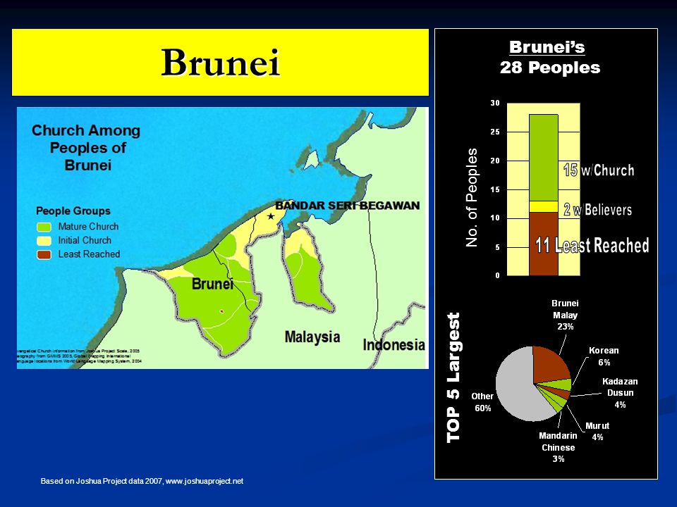 Brunei TOP 5 Largest Brunei’s 28 Peoples No.