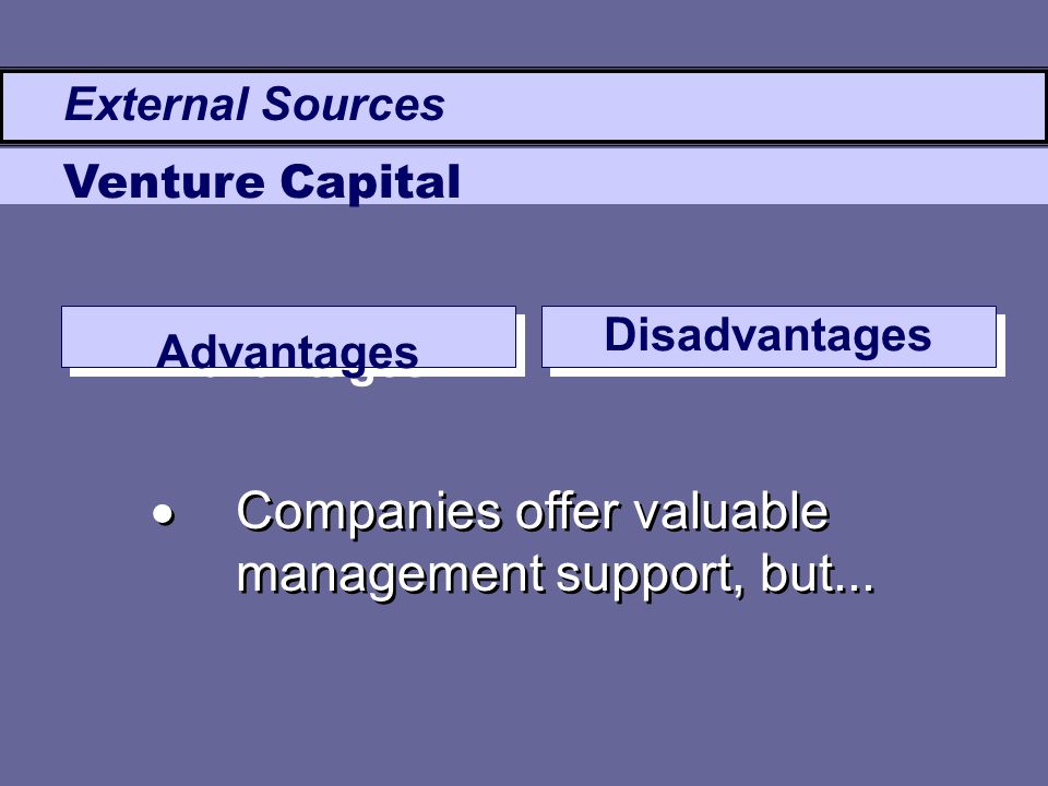 Advantages Disadvantages  Companies offer valuable management support, but...
