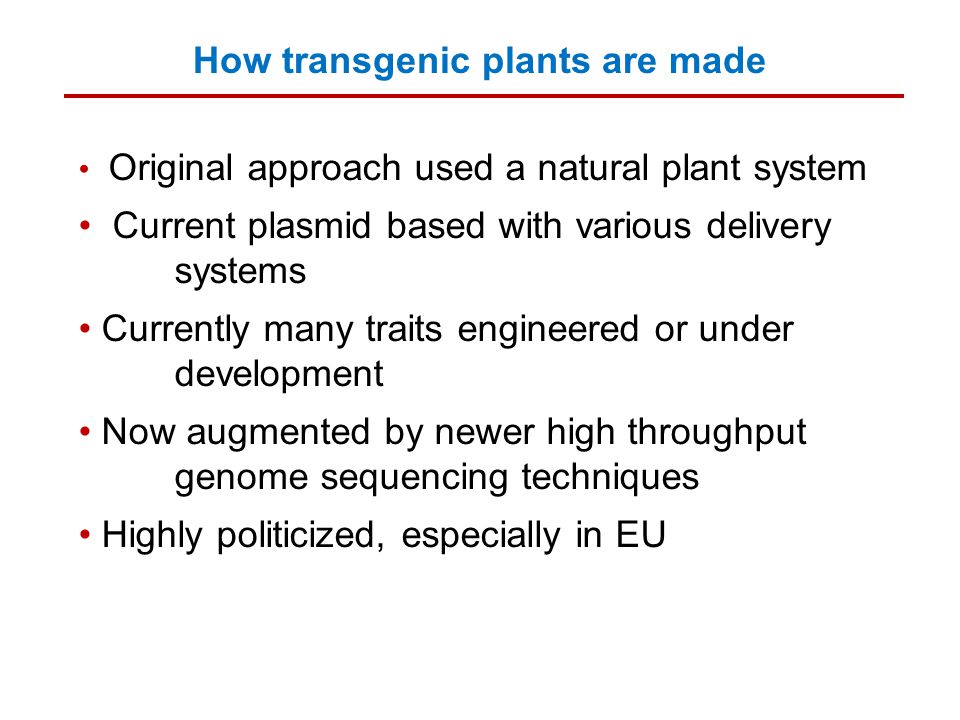 How transgenic plants are made Original approach used a natural plant system Current plasmid based with various delivery systems Currently many traits engineered or under development Now augmented by newer high throughput genome sequencing techniques Highly politicized, especially in EU