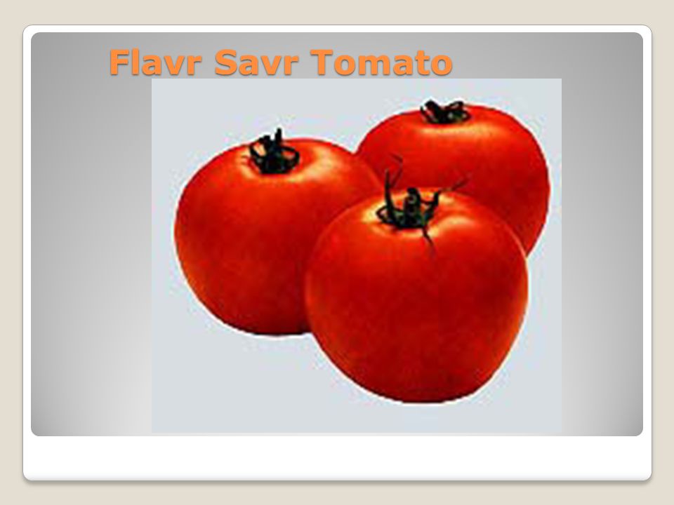 Flavr Savr Tomato