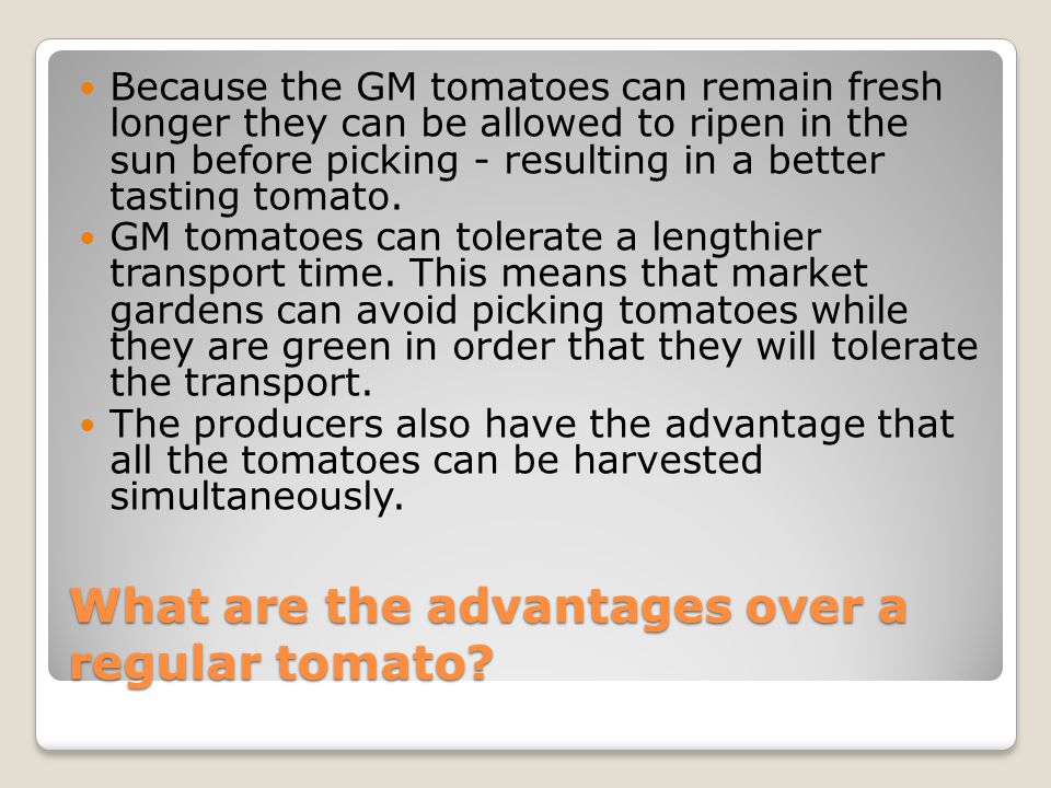 What are the advantages over a regular tomato.
