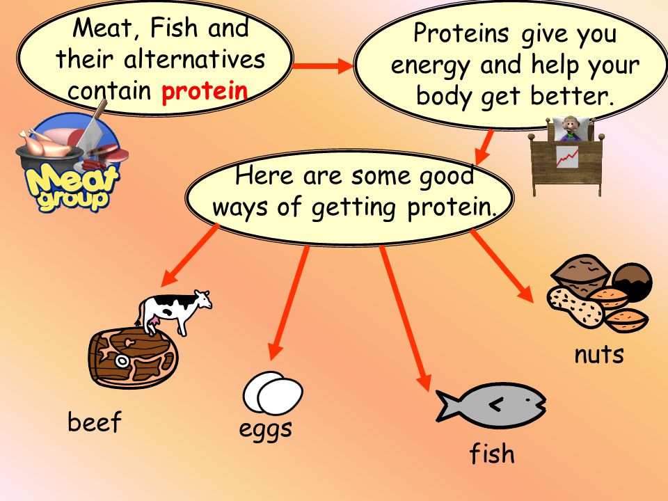 Meat, Fish and their alternatives contain protein.