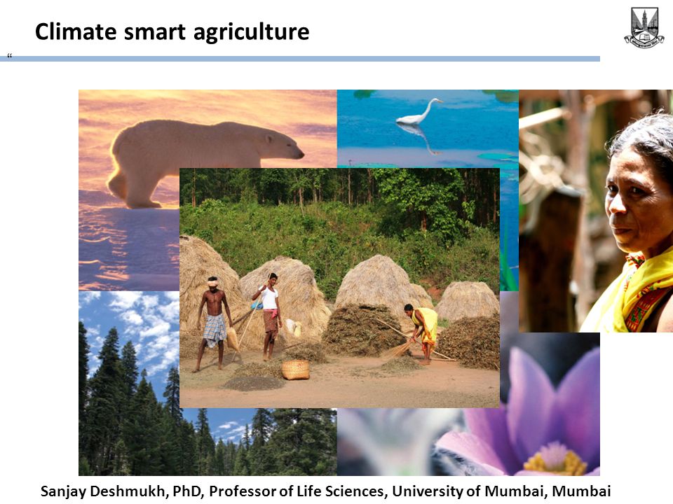 Climate smart agriculture Sanjay Deshmukh, PhD, Professor of Life Sciences, University of Mumbai, Mumbai