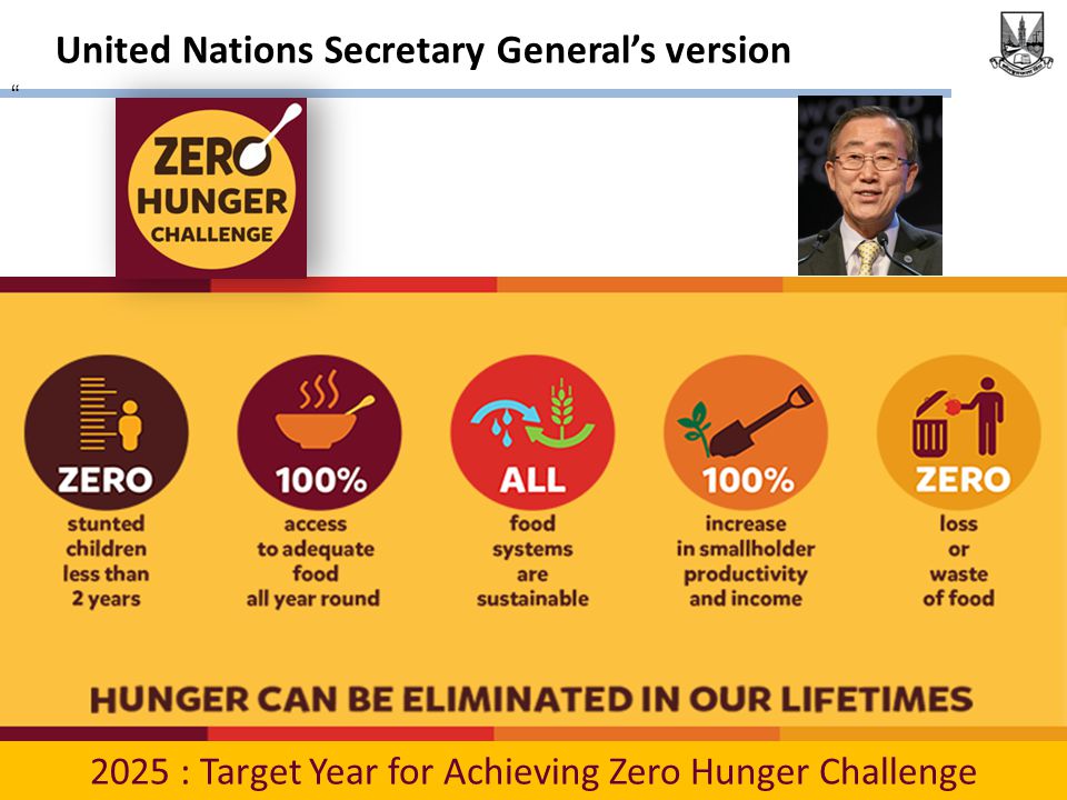 United Nations Secretary General’s version 2025 : Target Year for Achieving Zero Hunger Challenge