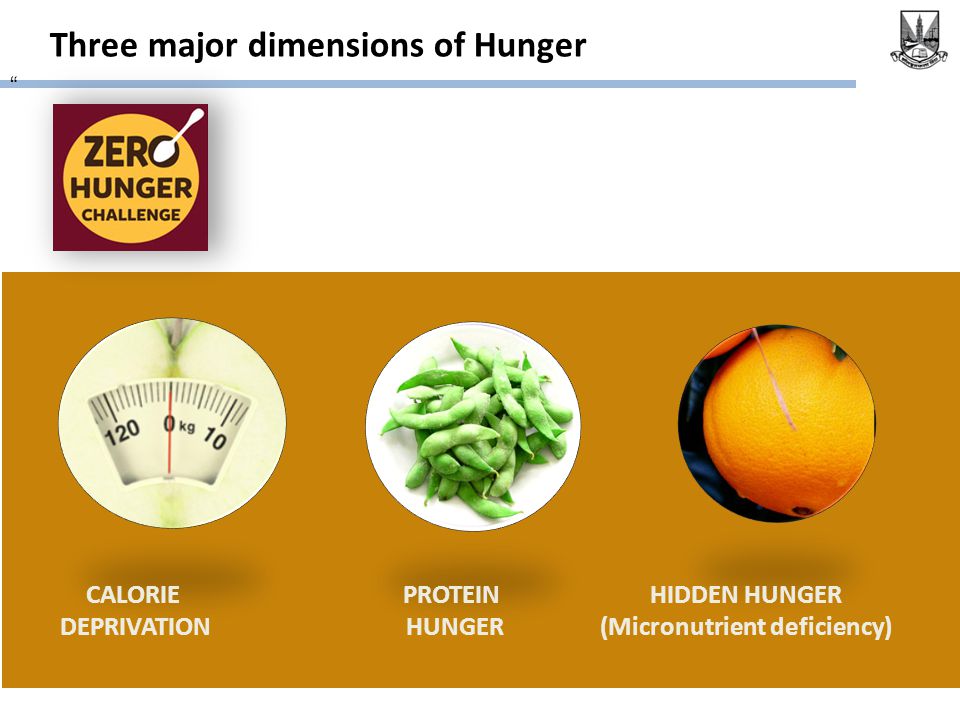 Three major dimensions of Hunger CALORIE DEPRIVATION PROTEIN HUNGER HIDDEN HUNGER (Micronutrient deficiency)