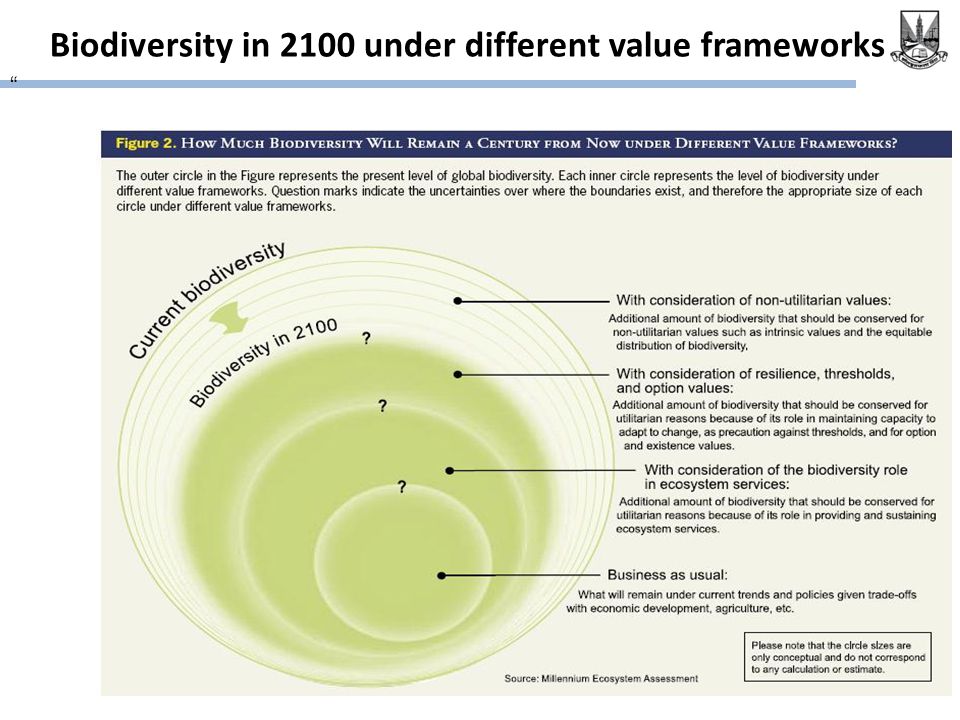 Biodiversity in 2100 under different value frameworks