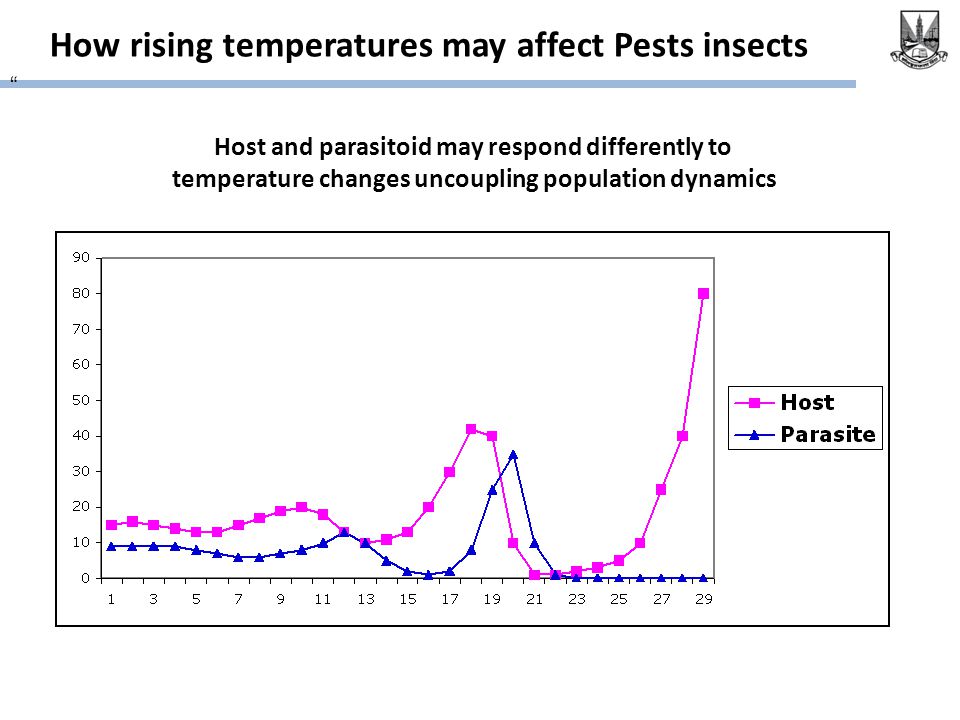 How rising temperatures may affect Pests insects Host and parasitoid may respond differently to temperature changes uncoupling population dynamics