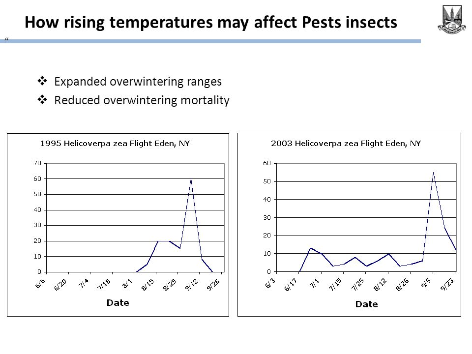 How rising temperatures may affect Pests insects  Expanded overwintering ranges  Reduced overwintering mortality