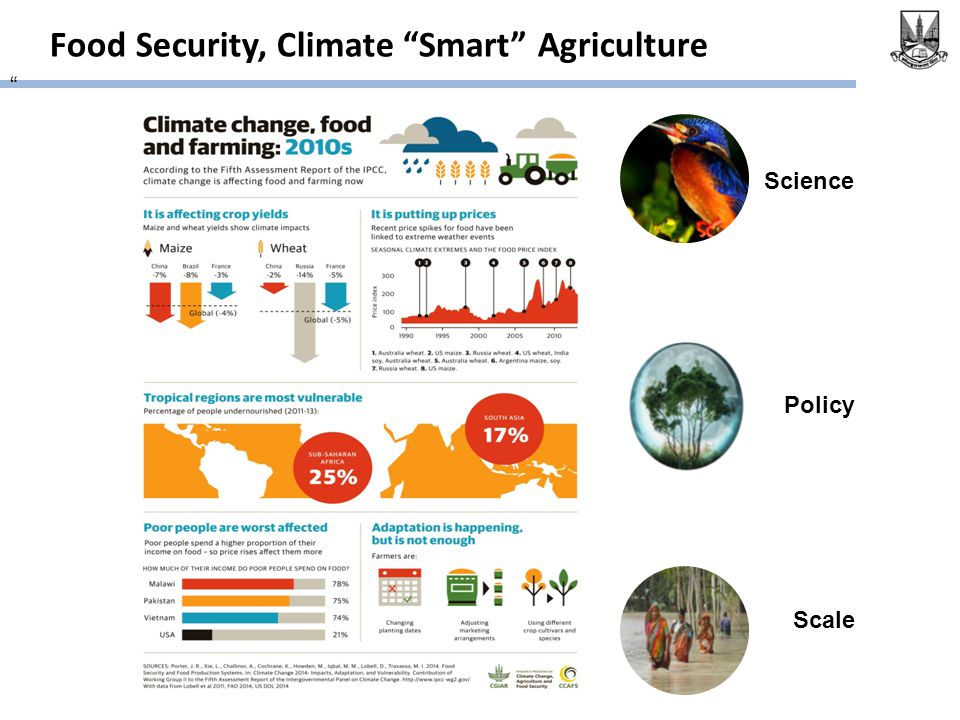 Food Security, Climate Smart Agriculture Science Policy Scale