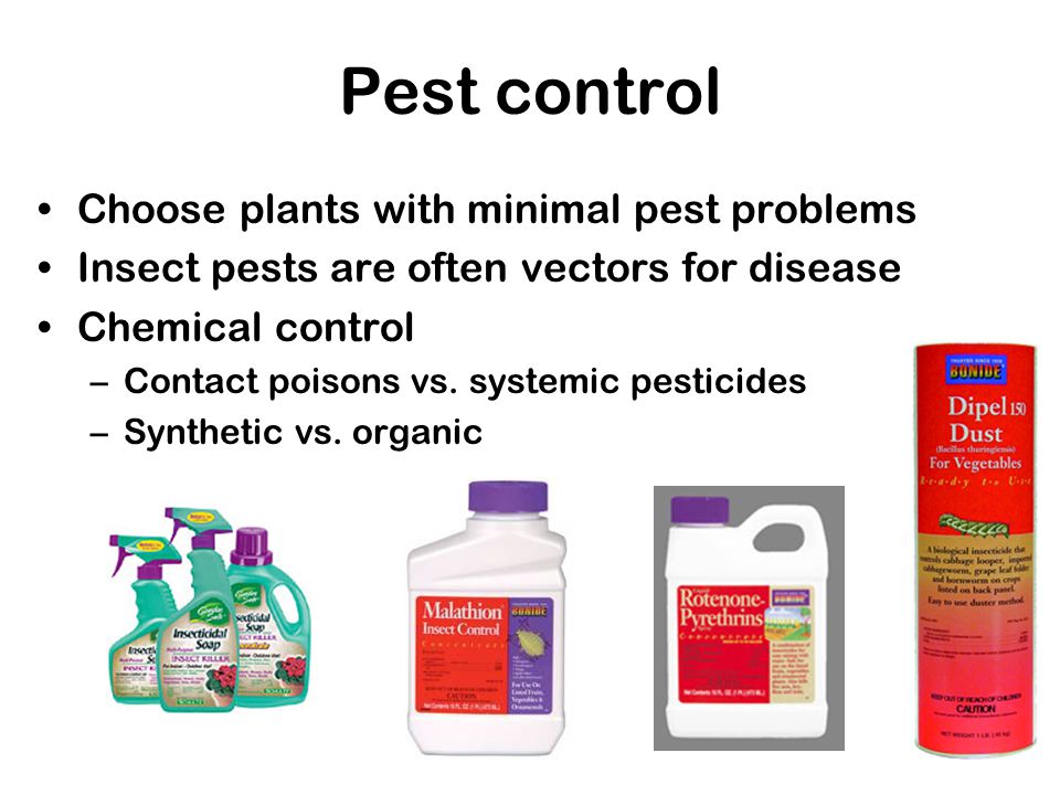 Pest control Choose plants with minimal pest problems Insect pests are often vectors for disease Chemical control –Contact poisons vs.