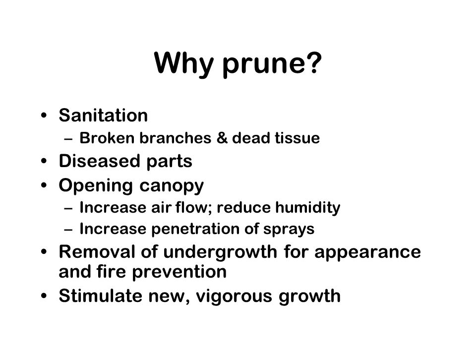 Why prune.