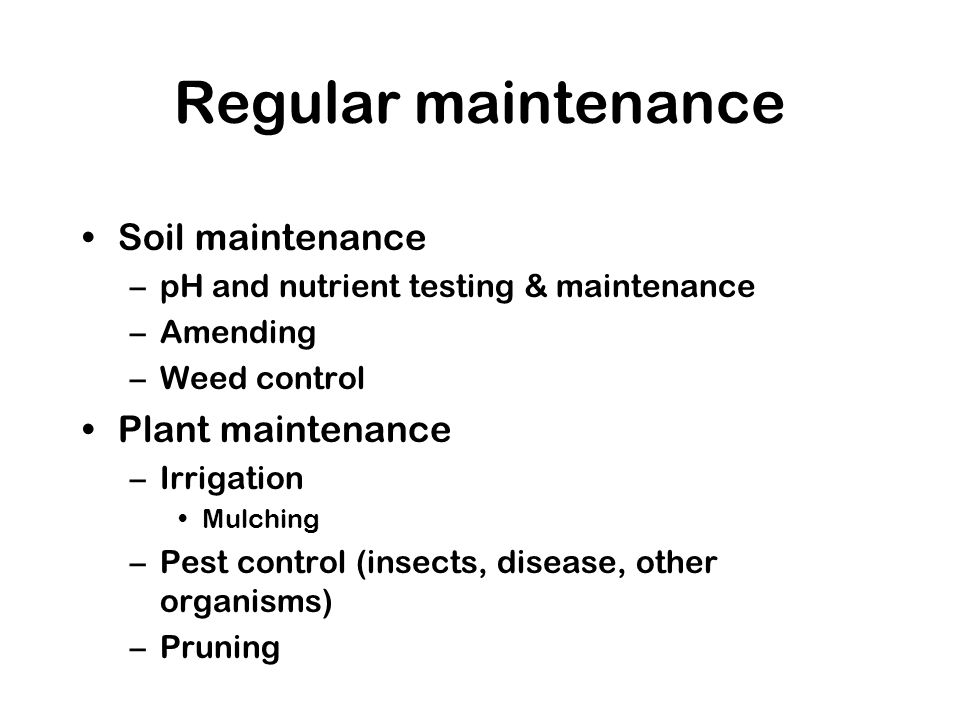Regular maintenance Soil maintenance –pH and nutrient testing & maintenance –Amending –Weed control Plant maintenance –Irrigation Mulching –Pest control (insects, disease, other organisms) –Pruning