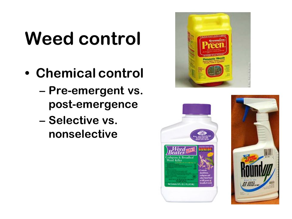 Weed control Chemical control –Pre-emergent vs. post-emergence –Selective vs. nonselective