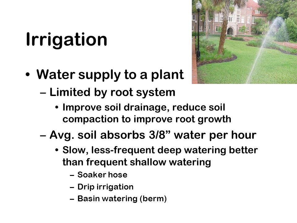 Irrigation Water supply to a plant –Limited by root system Improve soil drainage, reduce soil compaction to improve root growth –Avg.