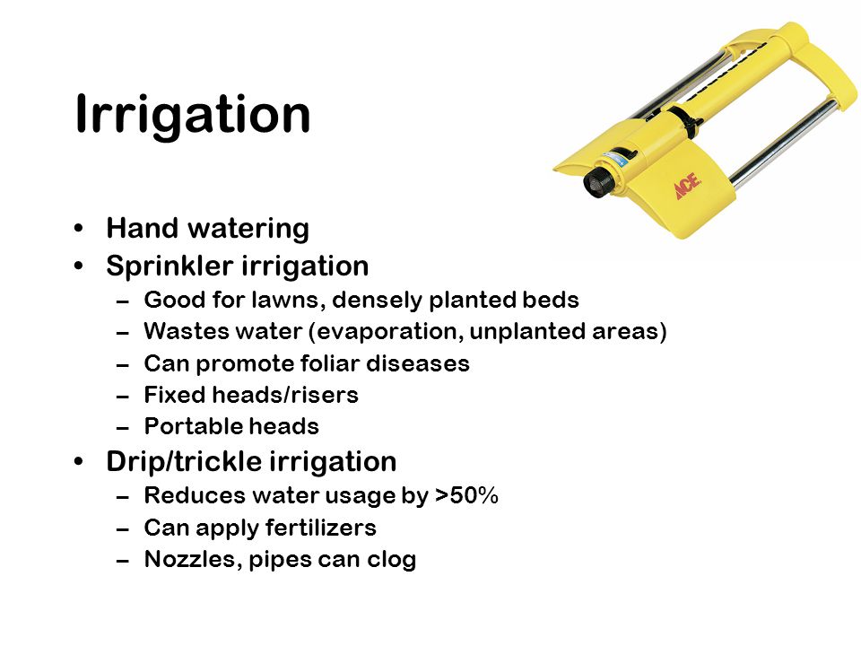 Hand watering Sprinkler irrigation –Good for lawns, densely planted beds –Wastes water (evaporation, unplanted areas) –Can promote foliar diseases –Fixed heads/risers –Portable heads Drip/trickle irrigation –Reduces water usage by >50% –Can apply fertilizers –Nozzles, pipes can clog