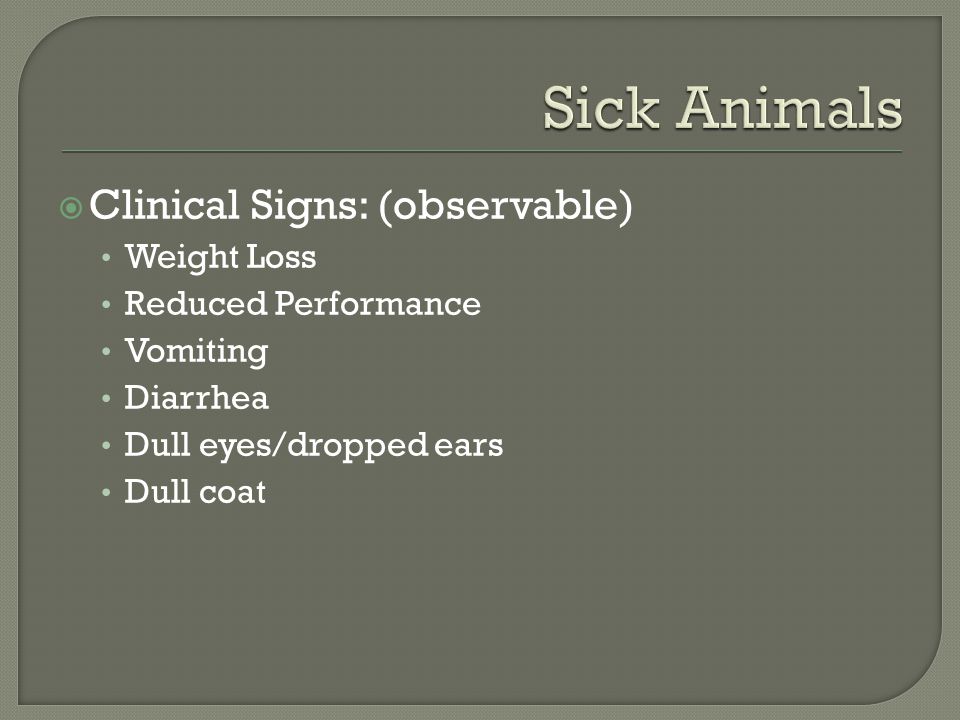  Clinical Signs: (observable) Weight Loss Reduced Performance Vomiting Diarrhea Dull eyes/dropped ears Dull coat
