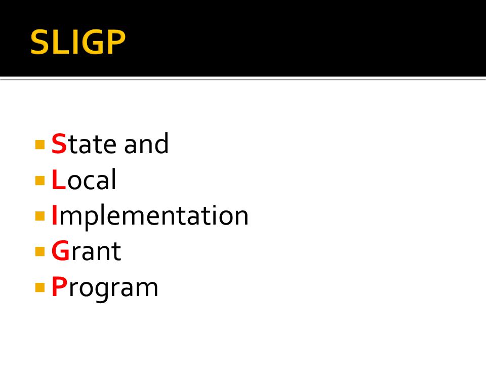  State and  Local  Implementation  Grant  Program