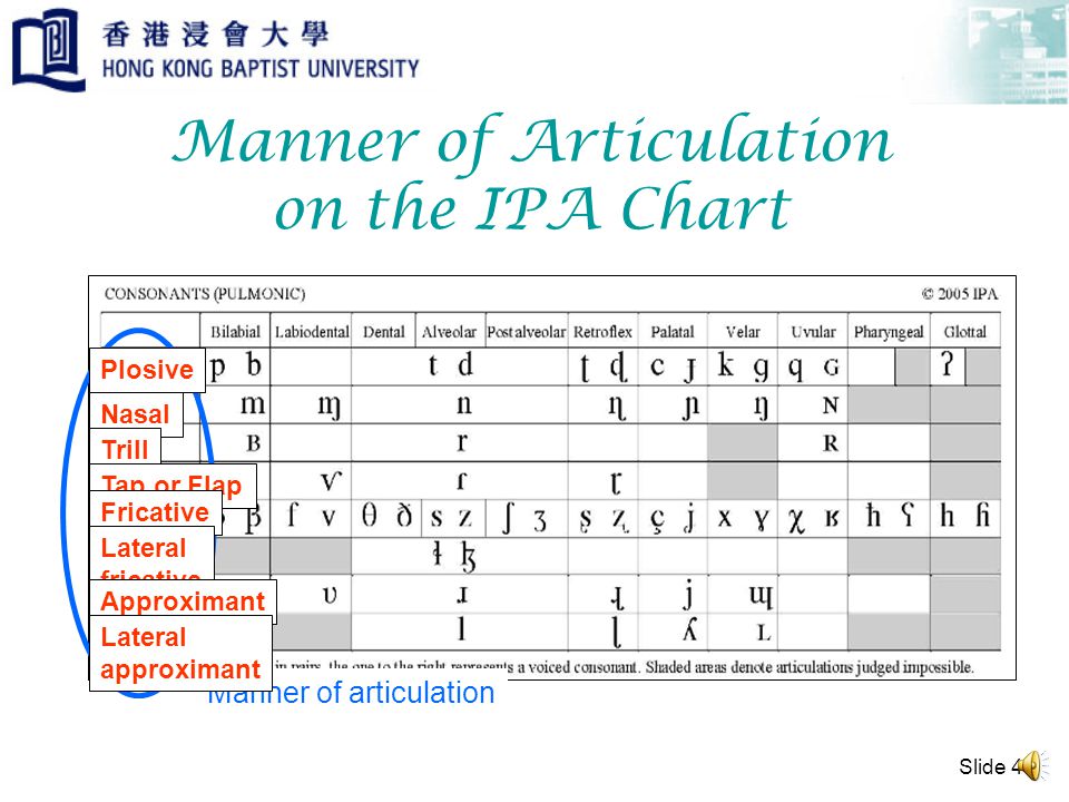 Manner Of Articulation Chart