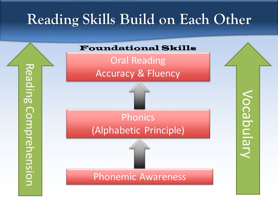 Vocabulary Phonemic Awareness Phonics (Alphabetic Principle) Phonics (Alphabetic Principle) Oral Reading Accuracy & Fluency Oral Reading Accuracy & Fluency Reading Skills Build on Each Other Reading Comprehension Foundational Skills