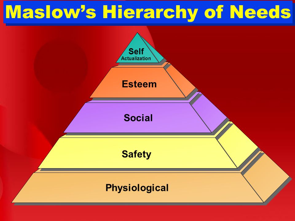 Maslow’s Hierarchy of Needs Physiological Safety Social Esteem Self Actualization