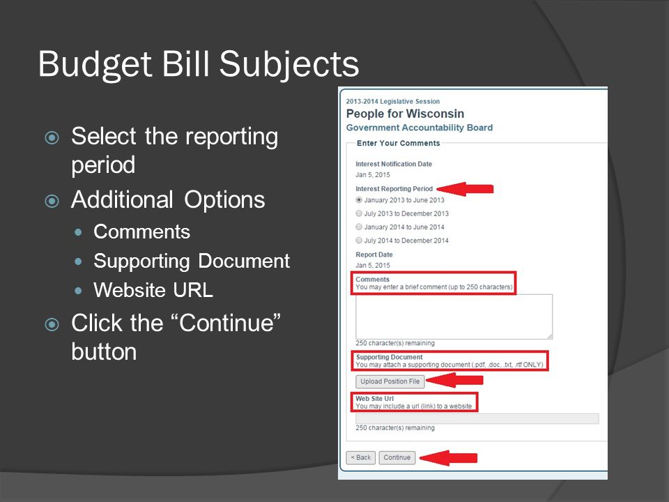 Budget Bill Subjects  Select the reporting period  Additional Options Comments Supporting Document Website URL  Click the Continue button