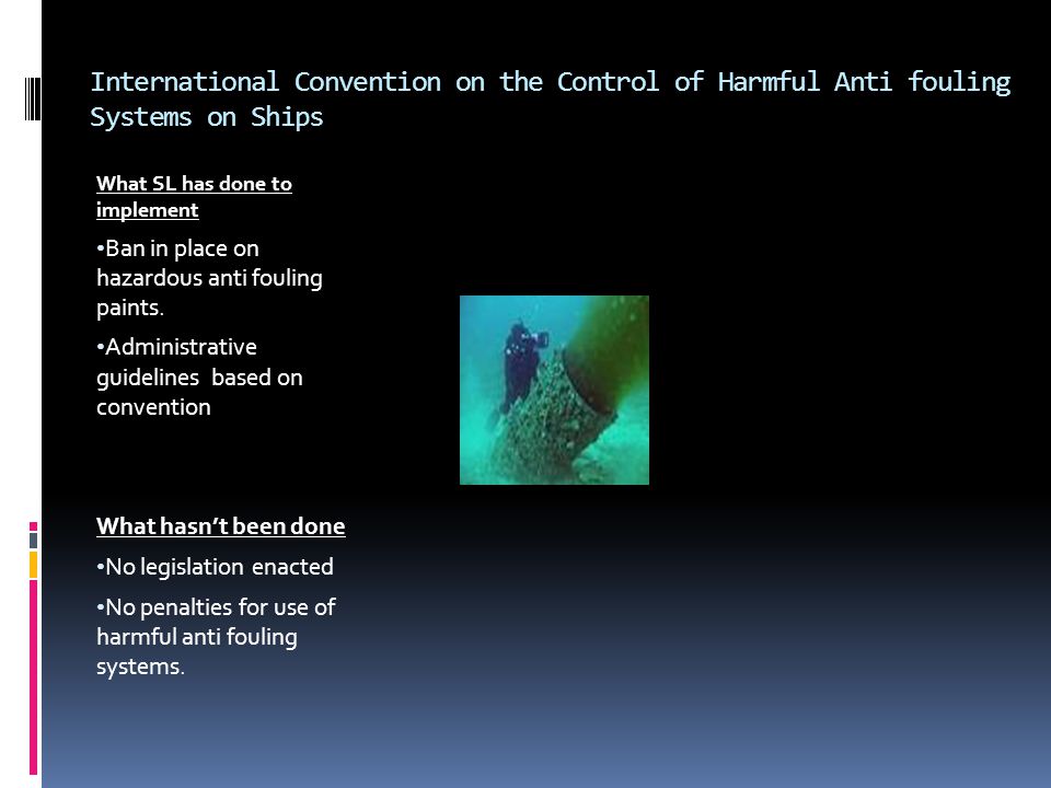 International Convention on the Control of Harmful Anti fouling Systems on Ships What SL has done to implement Ban in place on hazardous anti fouling paints.