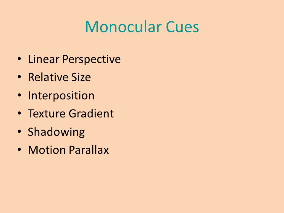 Monocular Cues Linear Perspective Relative Size Interposition Texture Gradient Shadowing Motion Parallax