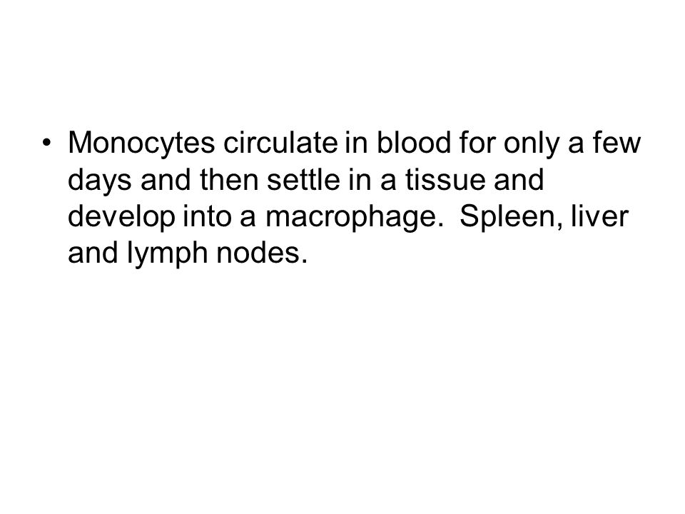 Monocytes circulate in blood for only a few days and then settle in a tissue and develop into a macrophage.