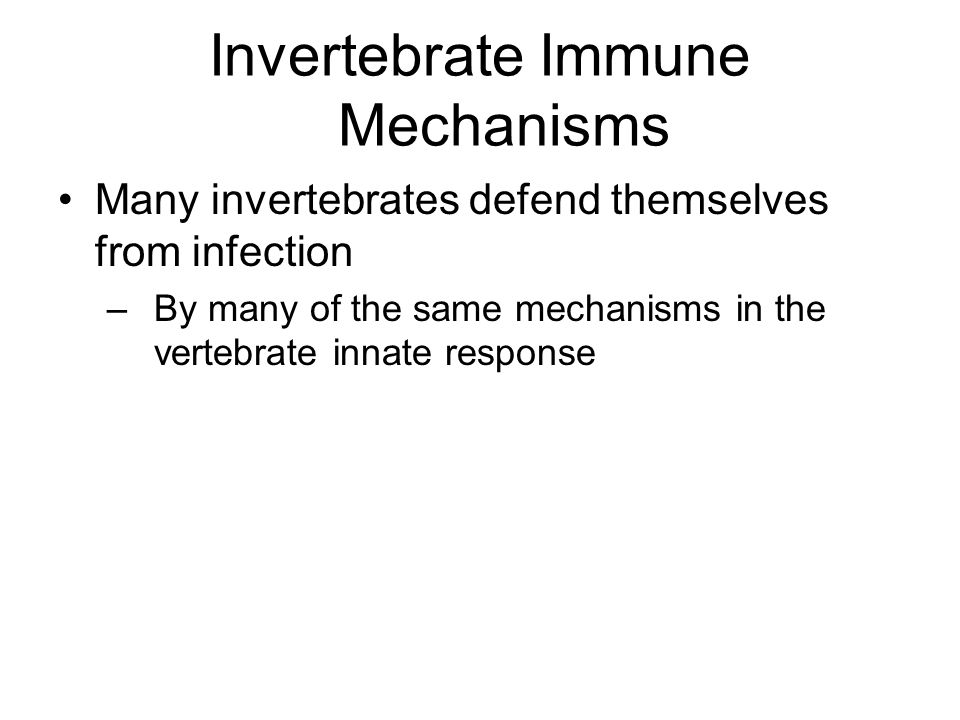 Invertebrate Immune Mechanisms Many invertebrates defend themselves from infection –By many of the same mechanisms in the vertebrate innate response