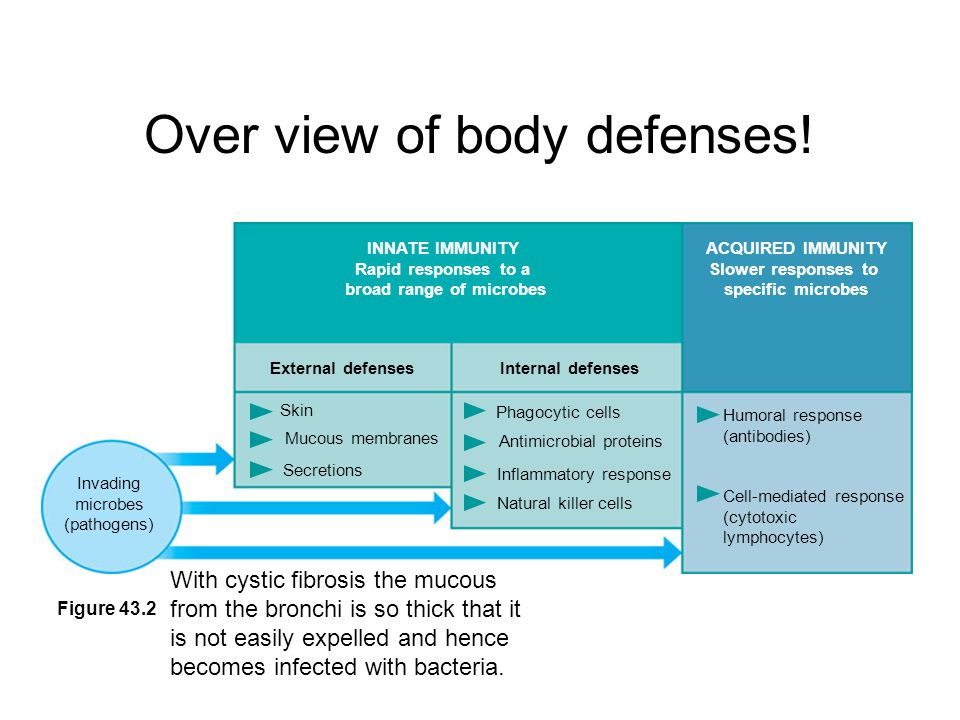 Over view of body defenses.