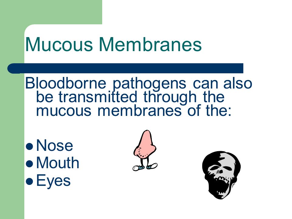 Mucous Membranes Bloodborne pathogens can also be transmitted through the mucous membranes of the: Nose Mouth Eyes